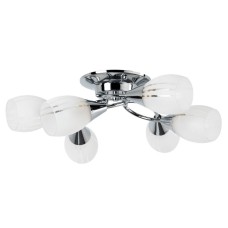 Потолочная люстра ARTE Lamp A2701PL-6CC