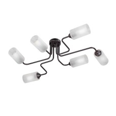 Потолочная люстра Vitaluce V4310-1/6PL