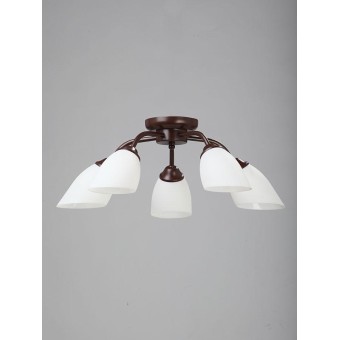 Потолочная люстра Vitaluce V3252/5PL