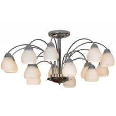 Потолочная люстра Lussole Apiro LSF-2403-15