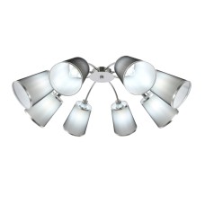 Потолочная люстра EVOLUCE MALEONTE SLE103002-08