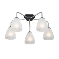 Потолочная люстра Vitaluce V4500-9/5PL