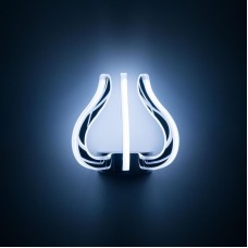 Бра Citilux Eletto Krown EL334W16.1