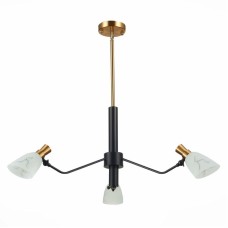 Подвесная люстра Evoluce Lita SLE205403-03