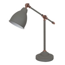 Настольная лампа Arte Lamp Braccio A2054LT-1GY