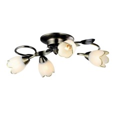 Потолочная люстра Arte Lamp 4 A6061PL-4AB