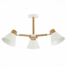 Потолочная люстра Evoluce Buve SLE103702-03