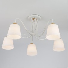 Потолочная люстра Eurosvet Betty 70062/5 белый