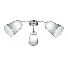 Потолочная люстра EVOLUCE MALEONTE SLE103002-03