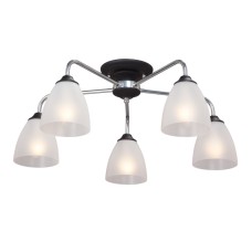 Потолочная люстра Vitaluce V3946-1/5PL