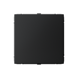 GAL001009 ЗАГЛУШКА без суппорта для многопостовых рамок, КАРБОН