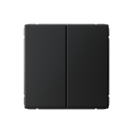 GAL001017 2-клавишный ВЫКЛЮЧАТЕЛЬ КНОПОЧНЫЙ, сх.2, 10А, механизм, КАРБОН