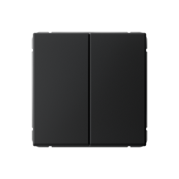 GAL001065 2-клавишный ПЕРЕКЛЮЧАТЕЛЬ, сх.6-2, 10АХ, механизм, КАРБОН