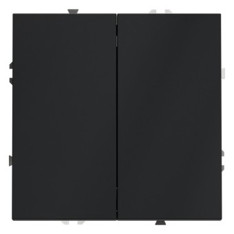 VLS020107 Выключатель S70, двухклавишный, без подсветки, цвет - графит