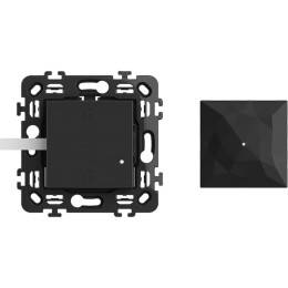 Стартовый пакет умного дома - шлюз 2 модуля - выключатель "Я дома/Я вне дома" - 2 модуля. Цвет Чёрный. CLASSIA with NETATMO. RG4500C