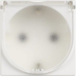 Розетка электрическая 2К+З 16А с защитной крышкой - 2 модуля. Цвет Белый. Bticino серия CLASSIA. RW4141C