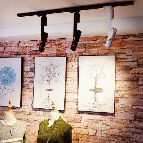 Трековый светодиодный светильник Arte Lamp A2512PL-1WH