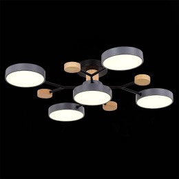 Люстра на штанге Evoluce Faema SLE6006-702-05