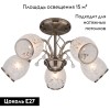Потолочная люстра Eurosvet 30026/5 античная бронза