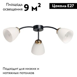 Потолочная люстра De Markt Нежность 676016903