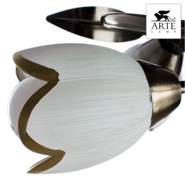 Потолочная люстра Arte Lamp 4 A6061PL-4AB