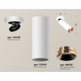 Спот Ambrella Light Techno Spot XM6342205 (A2228, C6342, N6135)