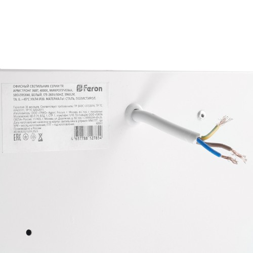 Потолочный светильник Feron TR Армстронг 48904