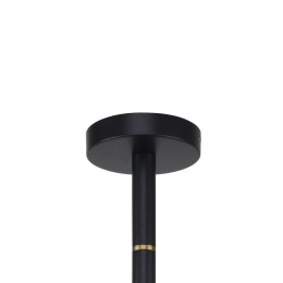 Люстра на штанге Favourite Eternity 2766-6P