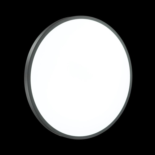 Накладной светильник Sonex 3012/DL