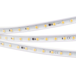 Светодиодная лента Arlight ARL-PV-B54-15.5mm 230V White6000 (8 W/m, IP65, 5060, 50m) 027056(2)