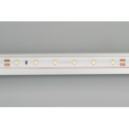 Светодиодная влагозащищенная лента Arlight 4,8W/m 60LED/m 3528SMD белый 50M 024562(2)