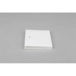 Выключатель одноклавишный Aployt Magnetic track 220 APL.0190.00.01