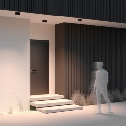 Уличный потолочный светильник Maytoni Ares O309CL-L10GF3K