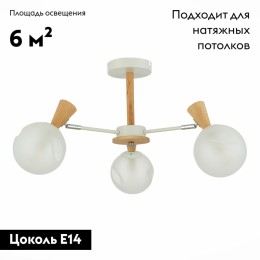 Потолочная люстра Evoluce Catania SLE220702-03