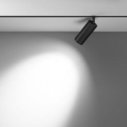 Трековый светодиодный светильник Maytoni Technical Focus Led TR032-2-20W4K-M-B