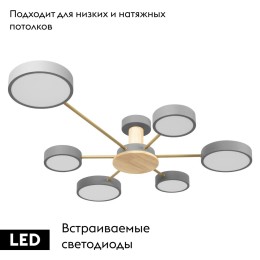 Потолочная люстра Loft IT Sunrise 10316/6 Grey