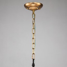 Подвесная люстра Favourite 2624-8P