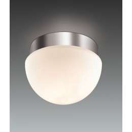 Потолочный светильник Odeon Light Minkar 2443/1A