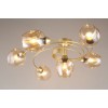 Потолочная люстра Aployt Flor APL.611.07.06
