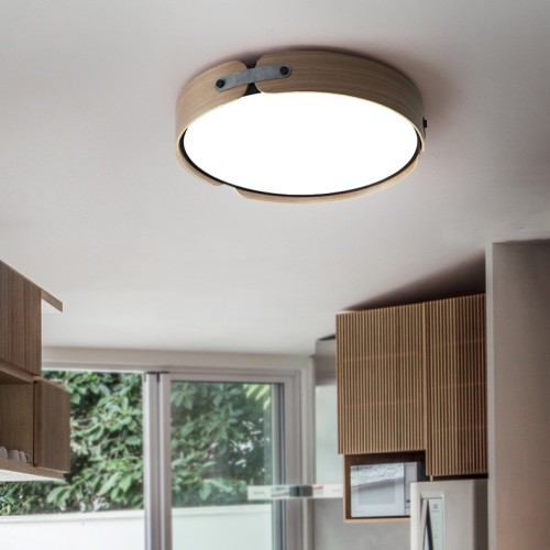 Потолочный светильник ImperiumLoft Range 195540-26