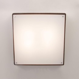 Потолочный светильник Citilux Шоколадный CL914142