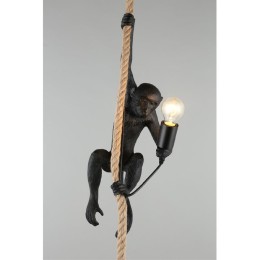 Подвесной светильник Aployt Magali APL.309.16.01