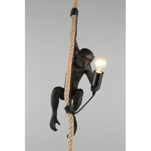 Подвесной светильник Aployt Magali APL.309.16.01