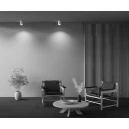 Потолочный светильник Maytoni Conik Gyps C001CW-01W