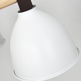 Потолочная люстра ImperiumLoft Flan 101588-26