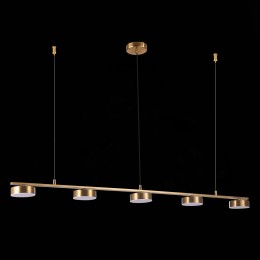 Подвесная светодиодная люстра ST Luce Pances SL6000.303.05