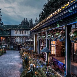 Гирлянда Белт-лайт Feron CL25-100 48167