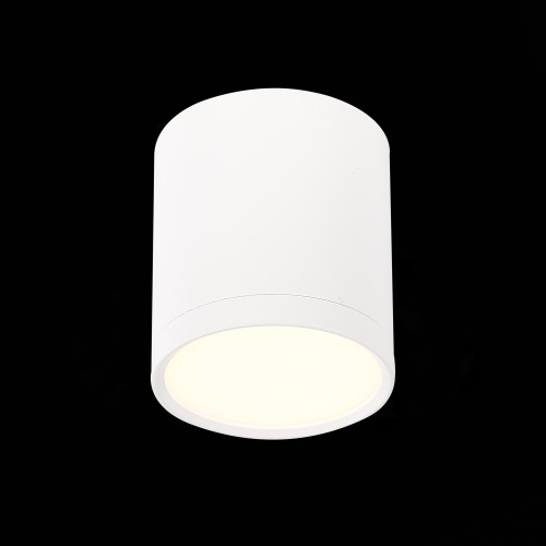 Потолочный светильник ST Luce Rene ST113.532.05