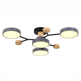 Люстра на штанге Evoluce Faema SLE6006-702-04