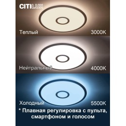Накладной светильник Citilux CL703A41G
